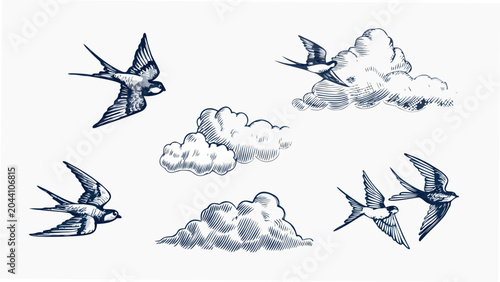 Photos A collection of flying swallows and sketched clouds a vintage style vector illus