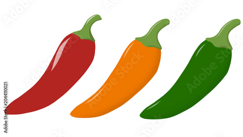 Vector illustration of three colorful hot chili peppers isolated on white background. 