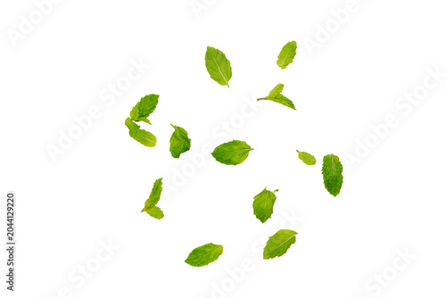 Scattered fresh Green mint leaves isolated On Transparent Background, top view, with copy space for design, food and herbal concept.