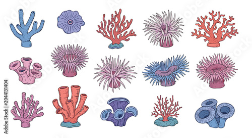 diverse collection of colorful underwater life including various types of sea anemones and coral in shades of blue, pink, and orange.
