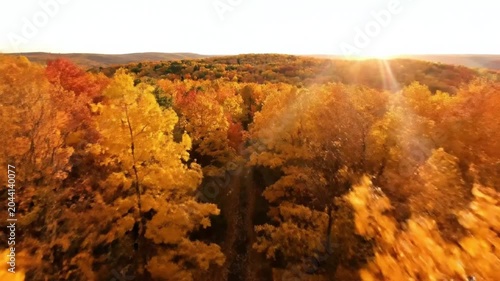 Cinematic Aerial View of Vibrant Fall Foliage During Golden Hour