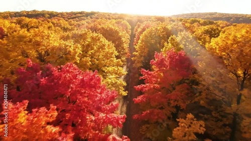 Drone flight over vibrant autumn forest with golden sunlight