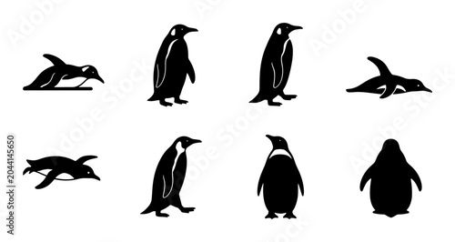 Foto Penguin Vector Icons Set, Antarctic Bird Silhouettes, Wildlife Animal Graphics,