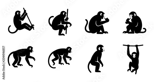 Photography Monkey Silhouettes, Primate Poses Vector Set, Jungle Animals Collection, Black a