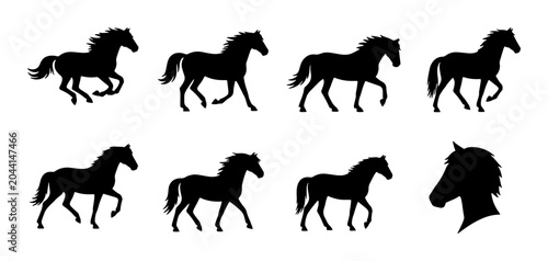 Obraz na płótnie Horse Silhouette Set, Equine Movement Poses, Black Animal Graphics, Equestrian V