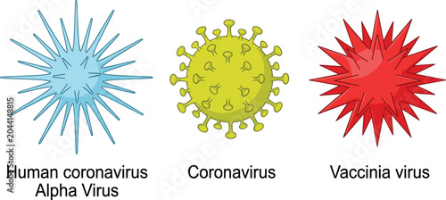Konstfotografi Medical illustration of Human Coronavirus, Alpha Virus, and Vaccinia virus struc