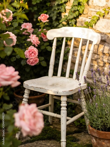 A vintage white wooden chair rests in a garden setting. Its surface shows signs of wear, adding to its antique charm. The chair is surrounded by vibrant pink roses in full bloom.