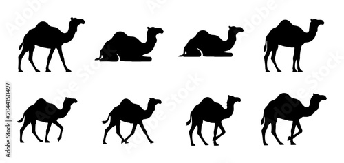 Canvas-taulu Camel Silhouettes Collection: Dromedary and Bactrian Poses, Desert Wildlife Icon