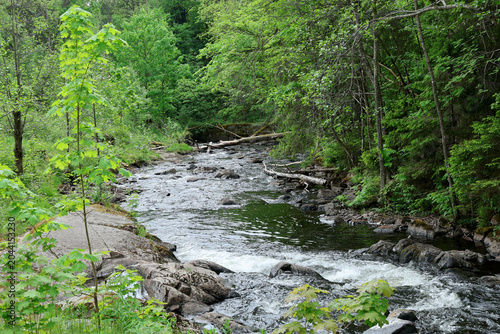 Photography River