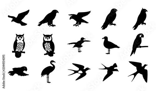 Photography Diverse Bird Silhouettes Collection, 15 Vector Icons for Nature and Wildlife Des