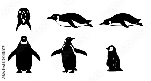 Obraz na płótnie Penguin Vector Icons Set: Diverse Poses and Styles, Antarctic Wildlife Illustrat