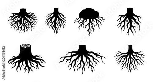 Quadro su tela Set of Six Black Tree Root Systems, Diverse Organic Structures, Plant Anatomy Ve