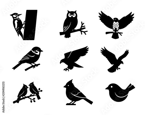 Foto Vector Bird Silhouettes Collection: Diverse Avian Icons for Nature and Wildlife
