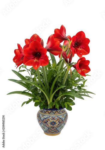 Red gerbera daisies in decorative pot isolated on transparent background