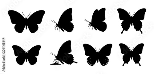 Bild auf Leinwand Black Butterfly Silhouettes Collection, Insect Vector Icons, Delicate Winged Cre