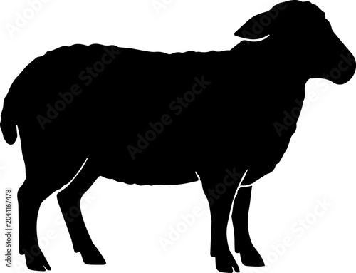 Sheep Silhouette Farm Animal Black Vector Illustration
