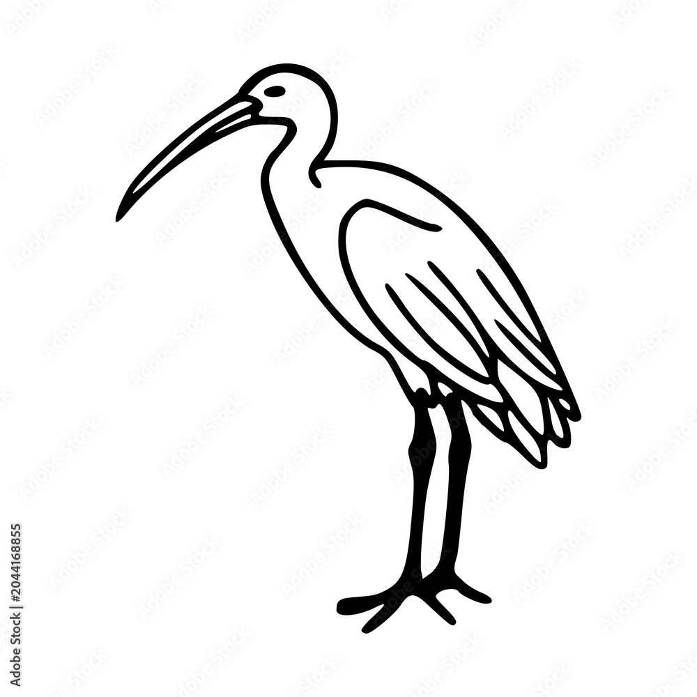 Obraz premium hand-drawn heron bird illustration in bold line art style