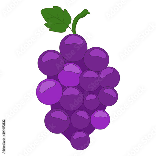 cartoon vector illustration of a purple grape bunch featuring a single green leaf.