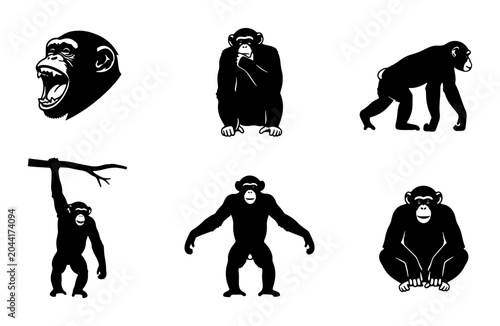 Photography Chimpanzee Icon Set, Primate Silhouette Collection, Ape Vector Graphics, Wild An