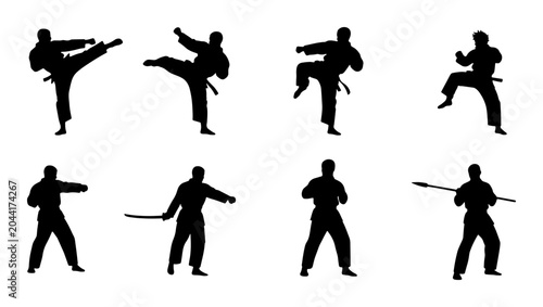 Photos Martial Arts Silhouette Collection: Karate, Kung Fu, and Weapon Poses, Dynamic A
