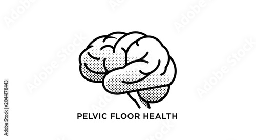 Detailed illustration of human brain anatomy concept.