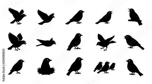 Foto Diverse Bird Silhouettes Collection, 15 Vector Icons, Flying and Perching Ornith