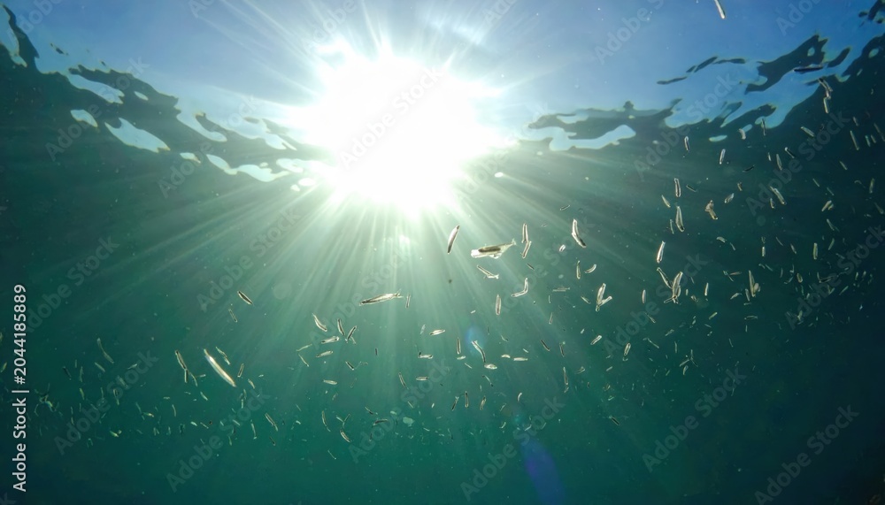 Naklejka premium Tiny plankton swarm in sunlit ocean surface waters, shimmering under bright sunlight beams