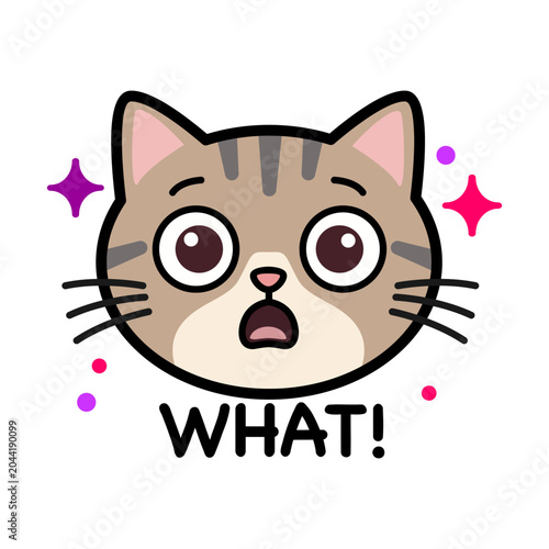 Foto Shocked Tabby Cat What Expression Vector