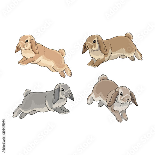 Set of four cute lop-eared rabbits hopping and jumping isolated on white