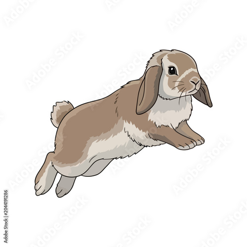 Cute Brown Lop-Eared Rabbit Jumping in Mid-Air Isolated on White Background
