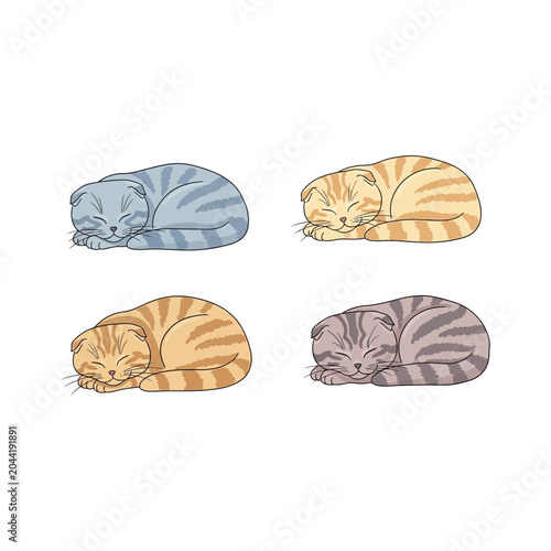 Set of Scottish Fold Cats Sleeping and Curled Up Cartoon Illustrations on White