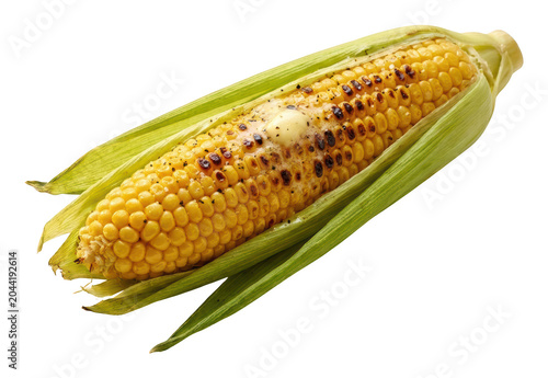 Obraz na plátne Grilled yellow corn on the cob with melting butter and green husks isolated tran