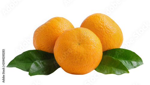 Fényképezés Three ripe oranges with green leaves