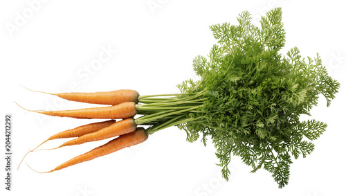 Photos Bunch of fresh orange carrots with green leafy tops