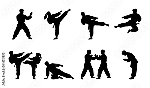 Bild auf Leinwand Martial Arts Silhouette Collection: Dynamic Karate and Kung Fu Poses, Combat Tra
