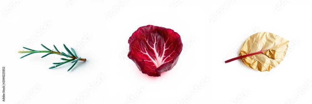 Obraz premium Minimalist composition. Rosemary sprig, red cabbage section, golden leaf presented on white surface. Simple, elegant food styling.