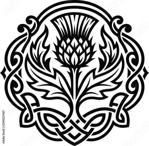 A sophisticated black and white vector sketch of a traditional scottish thistle flower framed by celtic knotwork.