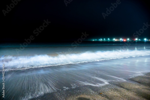 夜光虫