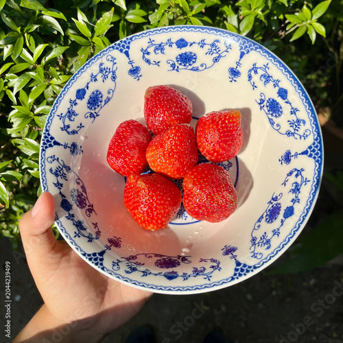Fresh Strawberries in Ceramic Bowl