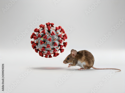 Brown mouse standing next to a Hantaviruses particle on a plain neutral backdrop.
