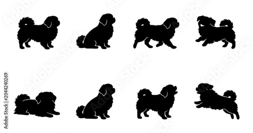 Tableau sur toile Pekingese Dog Silhouettes, Set of 8 Poses, Vector Graphics for Pet Lovers and An