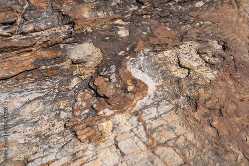 Texture Background of Sedimentary Rock Formation. Natural Surface at Cape of Good Hope Trail, South Africa