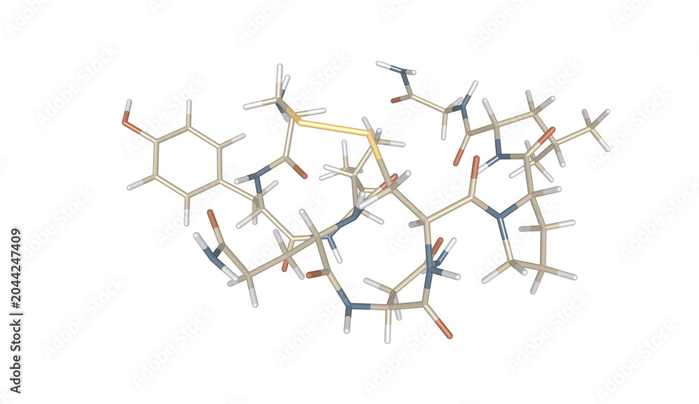 Obraz premium Oxytocin Chemical Structure 3D Stick Model Representation, Molecular Simulation Education and Biochemistry Visualization Featuring Peptide Bonds and Hormone Molecular Architecture on White Background