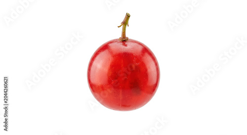 Schilderij op canvas Single fresh red currant berry macro isolated