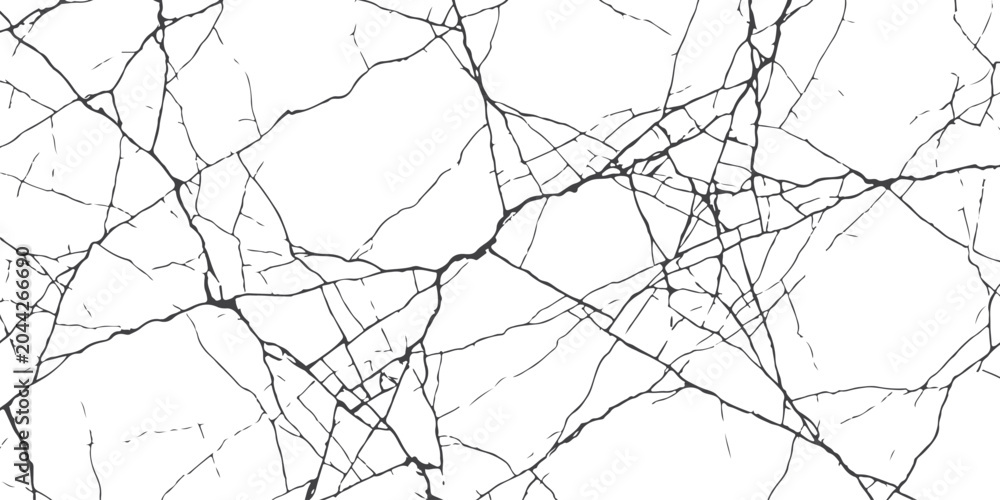 Obraz premium Abstract black cracks and broken lines texture pattern