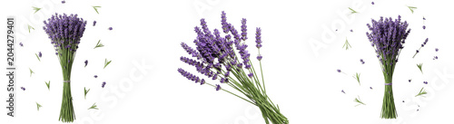 Schilderij op canvas A Set of lavender floral bouquets isolated on white background, elegant fragrant