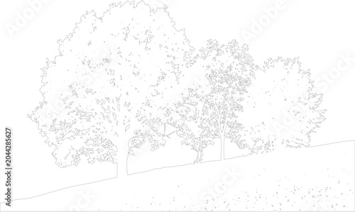 Foto Line drawing of trees on a hillside with grass and leaves
