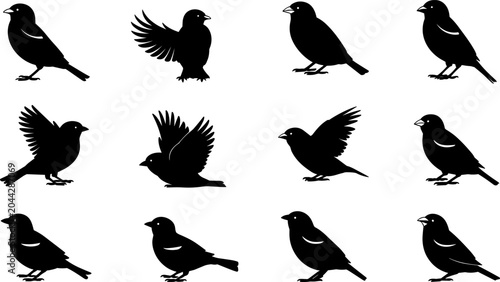 Obraz na płótnie Set of black silhouettes featuring various poses of small birds including perching, flying, and flapping wings in image_00d747