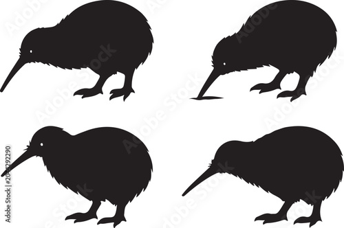 Принти на полотні New Zealand kiwi bird set of 4 silhouette vector