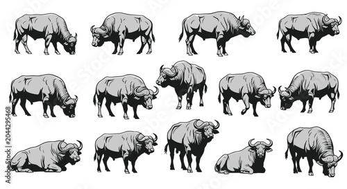 Cuadro en lienzo Group of bison standing together outdoors.